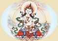 Conheça o seu Dharma e Karma 